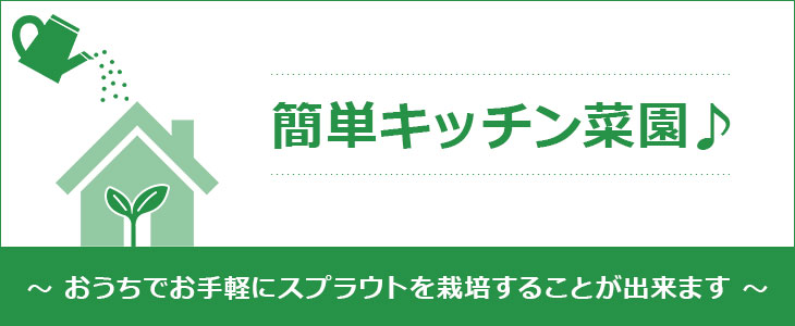 おうちで育てるスプラウト