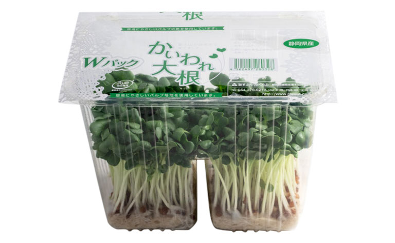 かいわれ大根様 家庭菜園噂の検証 かいわれ大根は春まき大根になるのか - 横浜家庭菜園